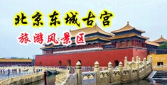 操黑丝美女逼中国北京-东城古宫旅游风景区